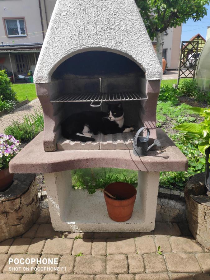 Pokoje Goscinne Moli Łeba Exteriör bild